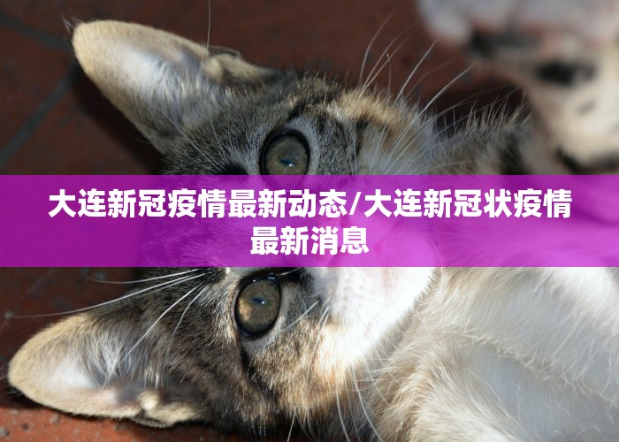 大连新冠疫情最新动态/大连新冠状疫情最新消息