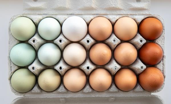 Lot,Of,Different,Color,Chicken,Eggs,Arranged,By,Color,On