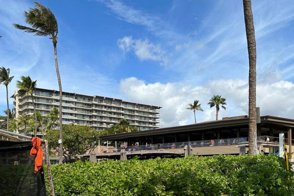 A building surrounded by palm trees 