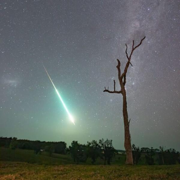 Meteorites: Bare tree beside a bright light shooting downward in the background during night.