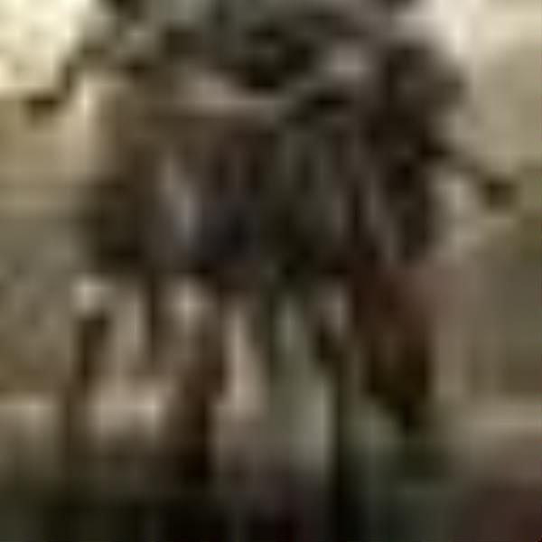 The Elder Scrolls Online