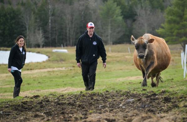 The 180-acre property sits in the tiny town of Greene, NY. Here, the Cavaleas walk near their cattle.