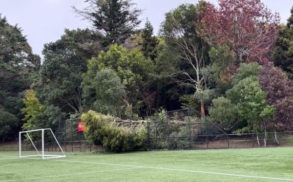 Tahurangi/Crum Park, Titirangi, West Auckland