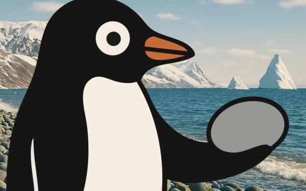 Owners of creative studio Kindred Milla Novak and Janelle Mais have launched a new penguin-backed export business selling pebbles - symbolic of the fact they live on a rocky outcrop, with all proceedings going to the colo<em></em>nies of Heard Island.